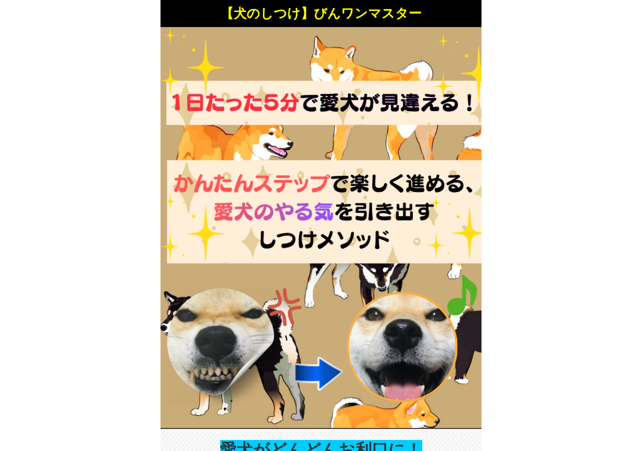 びんワンマスター