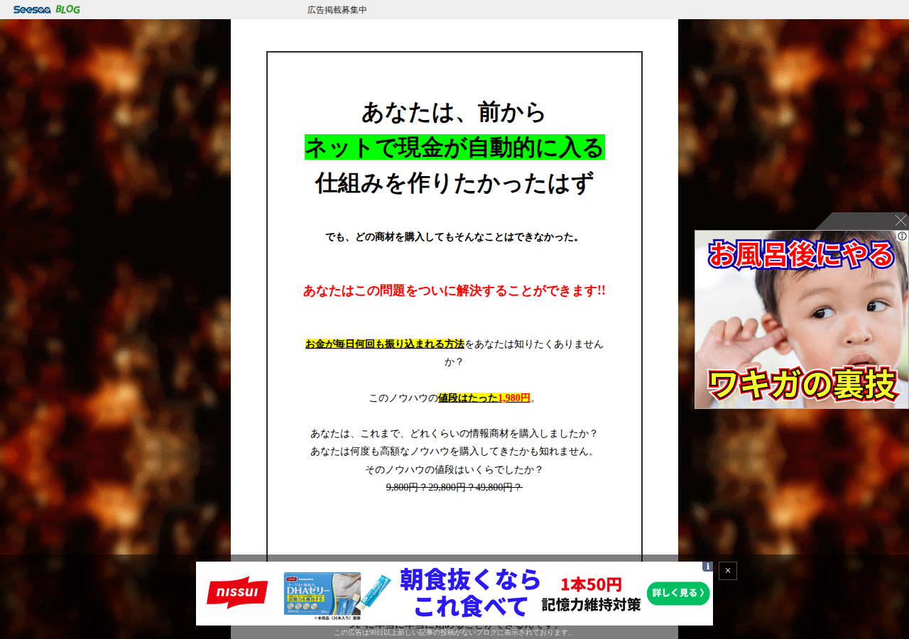 PCど素人が月収80万超えた!!「出会いサイト開業マニュアル2008」