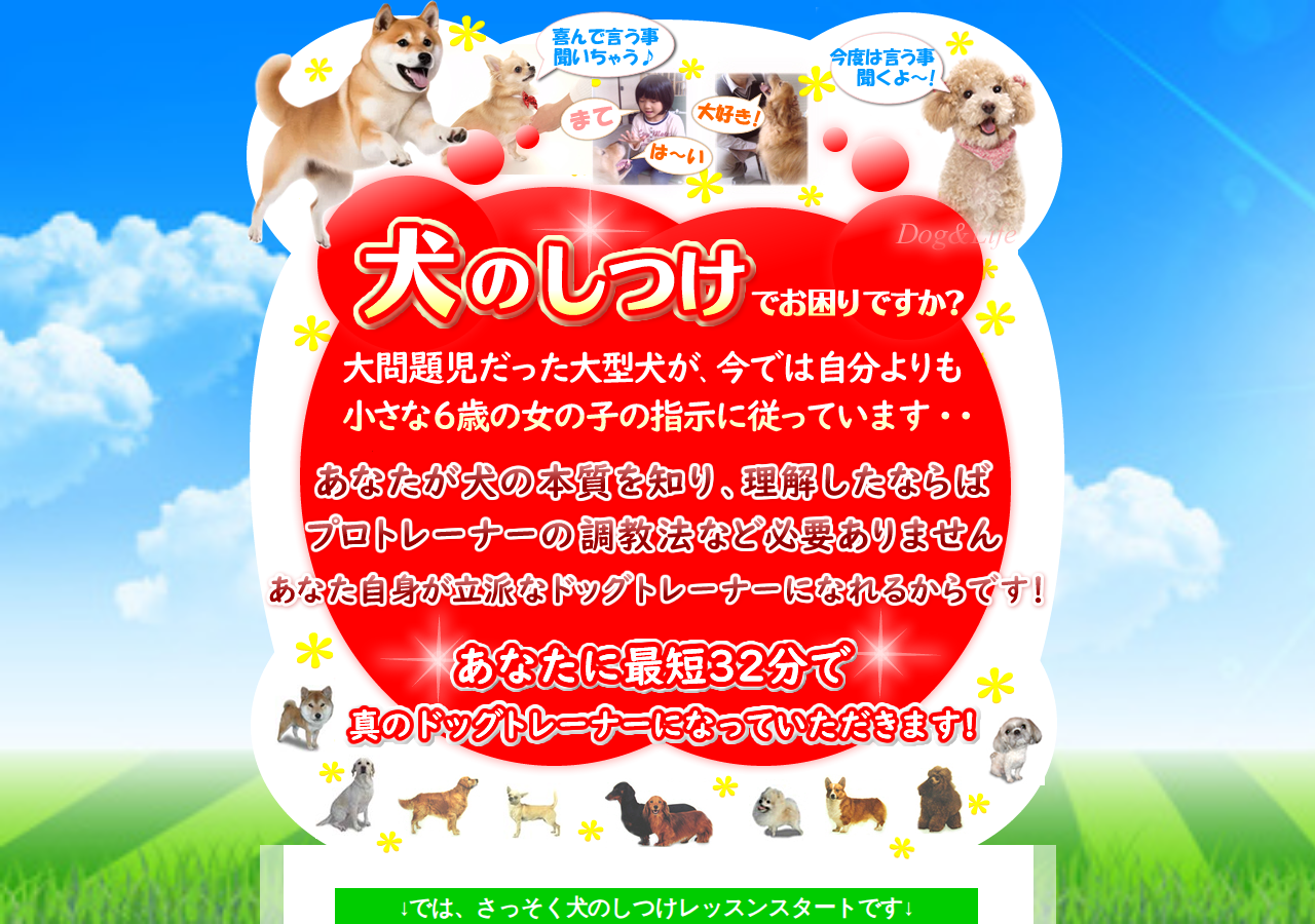 ６歳の女の子でもできた犬のしつけマニュアル