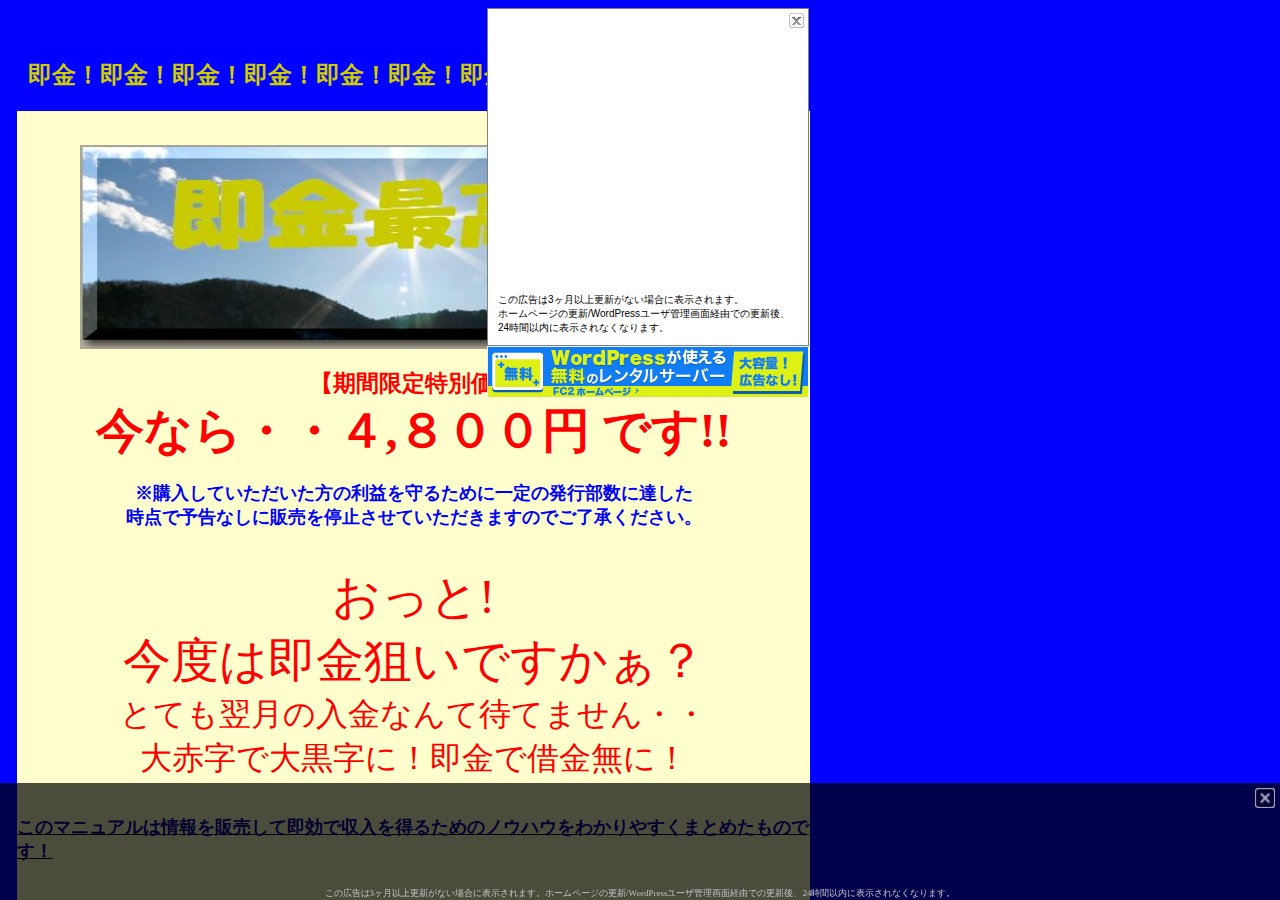 【期間限定特別価格】おっと今度は即金狙いですかぁ?とても翌月の入金なんて待てません・・大赤字で大黒字に!即金で借金無に!大逆転の発想転換!!