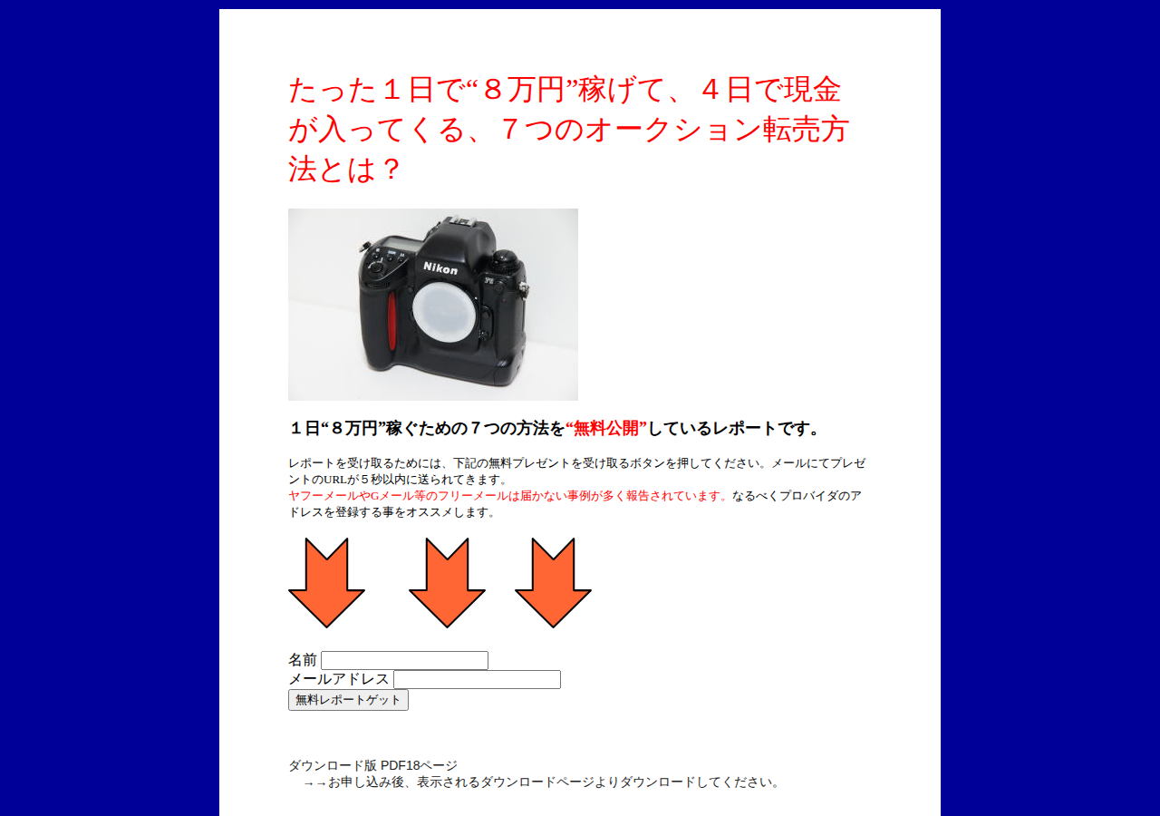 日給８万円稼ぐカメラオークション