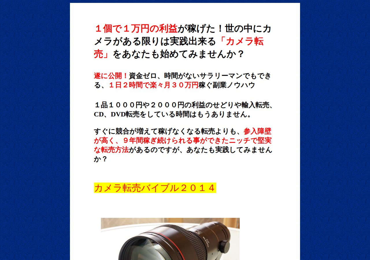 カメラ転売バイブル2014