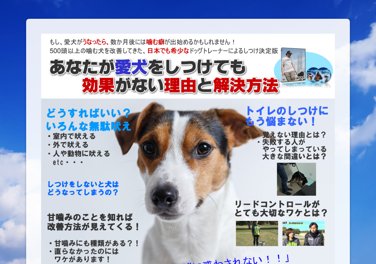 【愛犬しつけ講座２】「周りの飼い主が羨むイケてる犬の教育法」