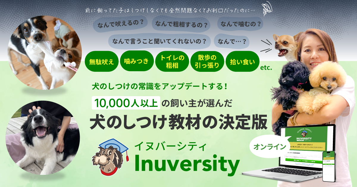 Inuversity(イヌバーシティ)　～いぬ大学～　犬のしつけ教材