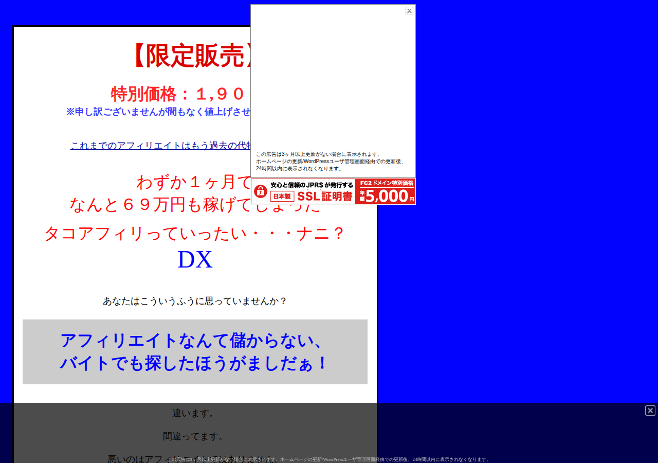 【期間限定販売】ど素人がいきなり1ヶ月で69万円も稼いでしまった『タコアフィリ』っていったい・・・ナニ?DX