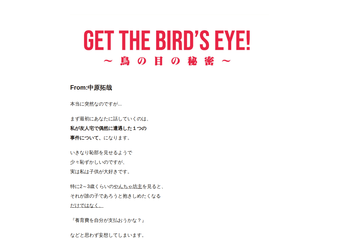 メタビジネスマスター講座『bird's eye』(IT_ev)