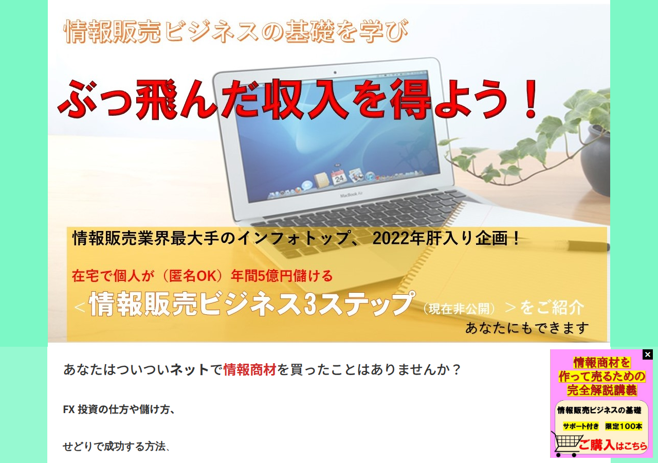情報販売ビジネスの基礎＜情報販売ビジネス３ステップ＞  ー初心者でも高収入が期待できる情報販売ビジネスを学び、ぶっ飛んだ収入を得ようー