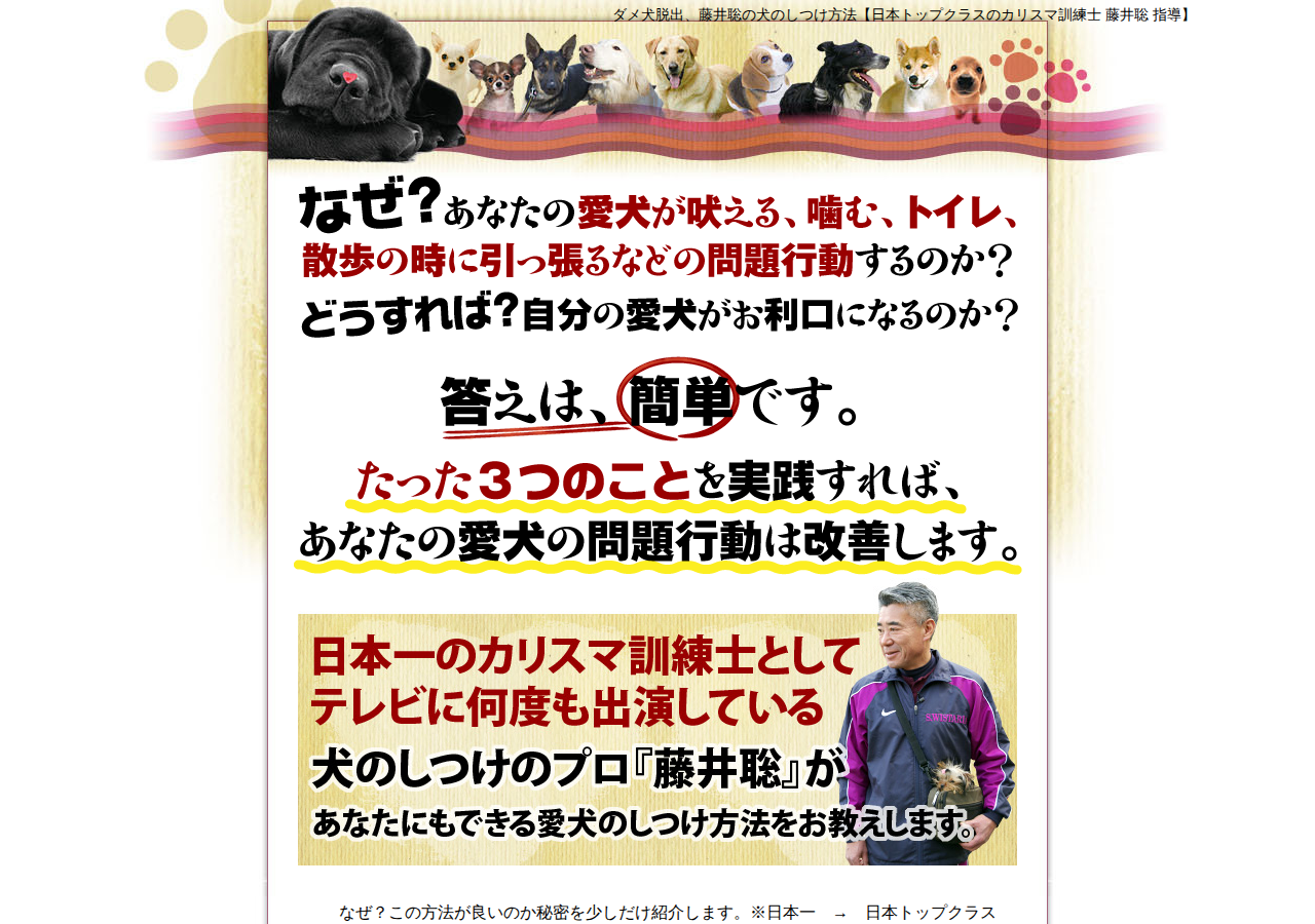 ダメ犬脱出、藤井聡の犬のしつけ方法【日本トップクラスのカリスマ訓練士　藤井聡　指導】オンライン版